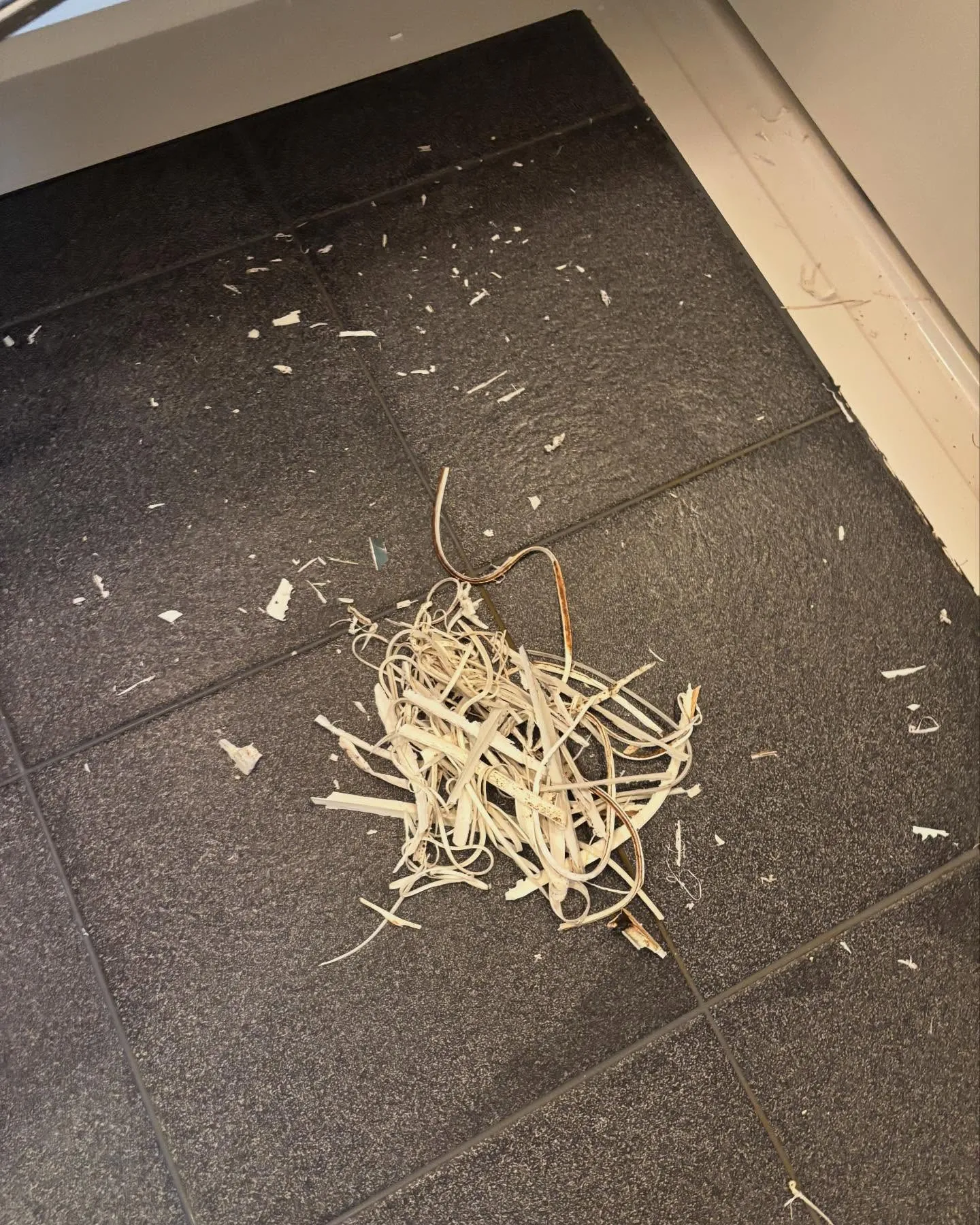 浴室コーキングの打ち換え